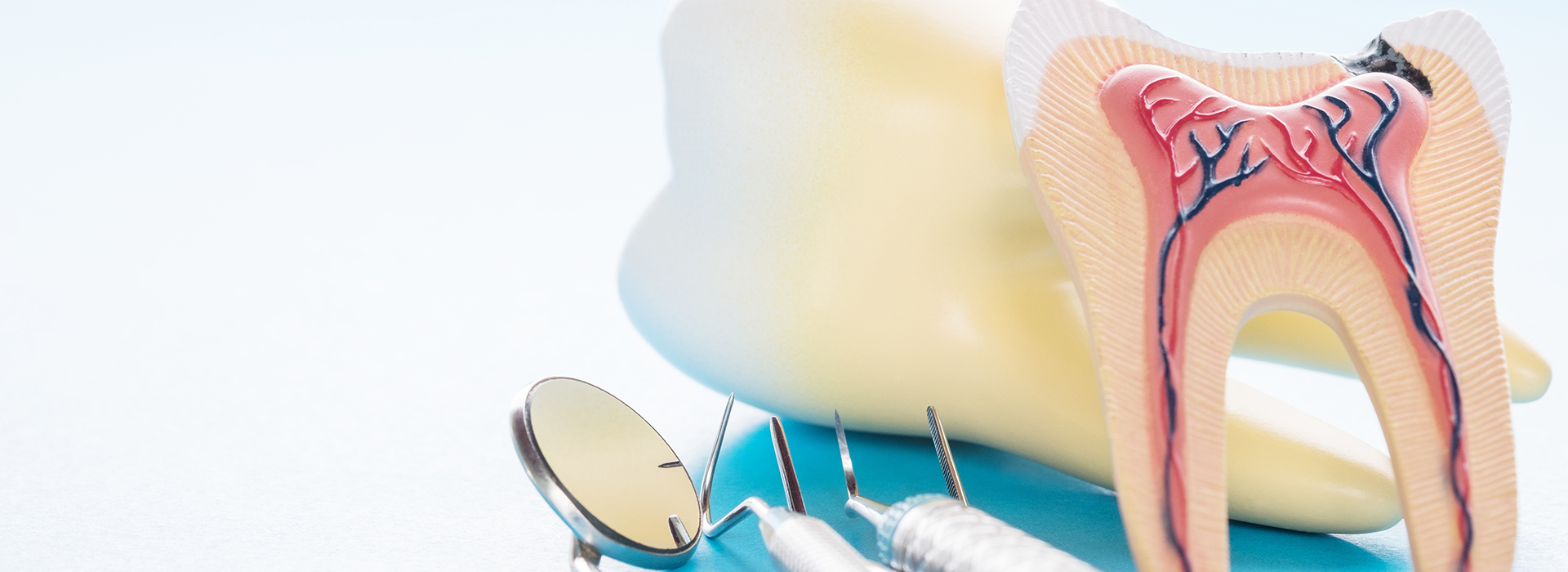 The image shows two toothbrushes with toothpaste and a toothbrush holder, all against a white background.