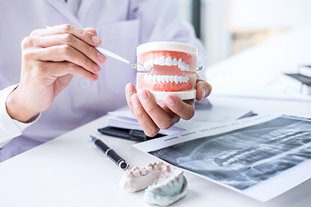 The image shows a dentist holding a tooth model with a handheld magnifier, examining it closely while seated at a desk with various dental tools and equipment around.